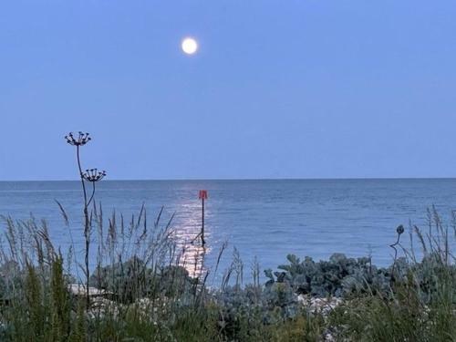 The Shack - Selsey