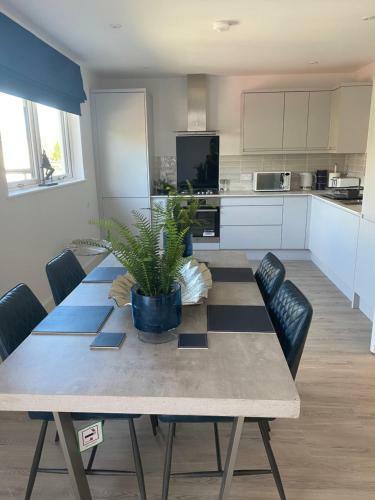 The Bay House Apartments , Shanklin