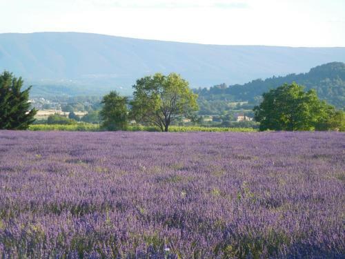 Le Petit Mas Des Hauts De Beyssan