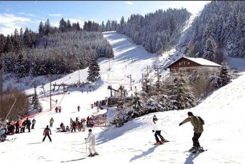 Apartamento Au Chalet Des Oiseaux Migrateurs