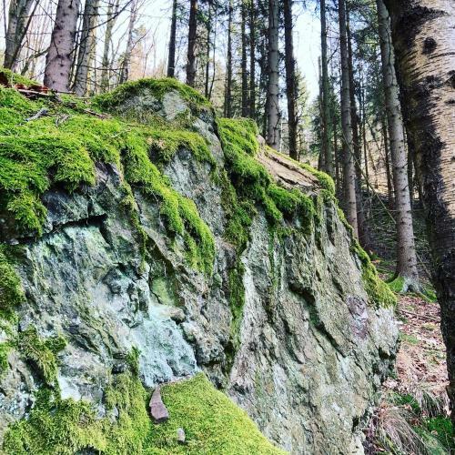 Apartamento Ferienwohnung Frankenwald