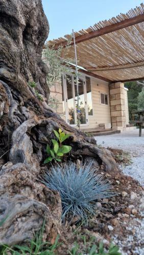 Villa Eden Le Tre Sorelle