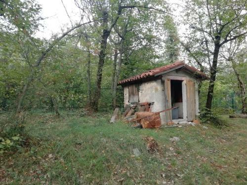 La Casetta Nel Bosco
