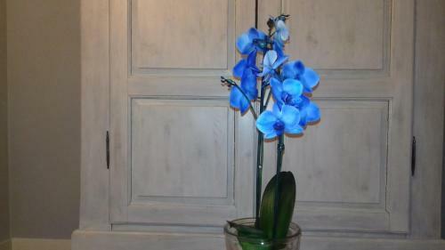 B&B Il Glicine