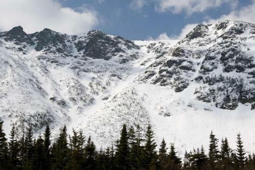 Great North