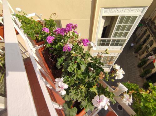 Gravina Apartment