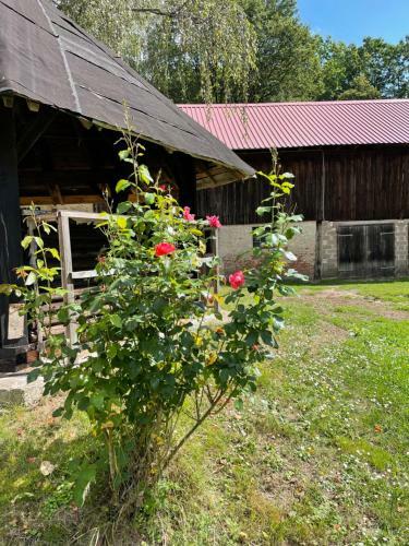 Apartamento Schellnhof Forsthaus Eg