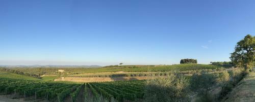 Villa Clara In Chianti 15min From Siena