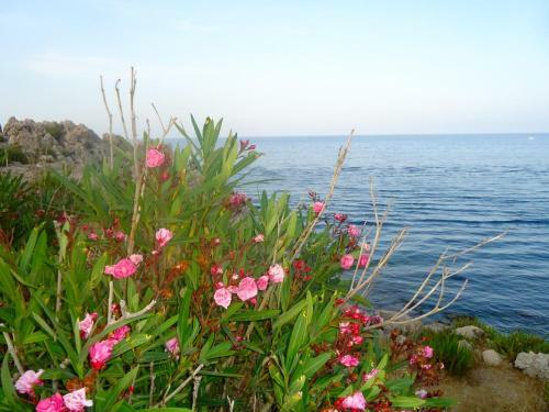 Apartamento Stella Mare