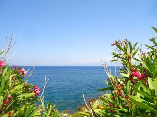 Apartamento Stella Mare