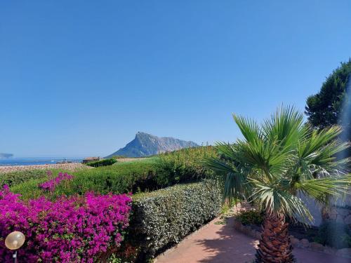 Apartamento Locazione Turistica Molara 1