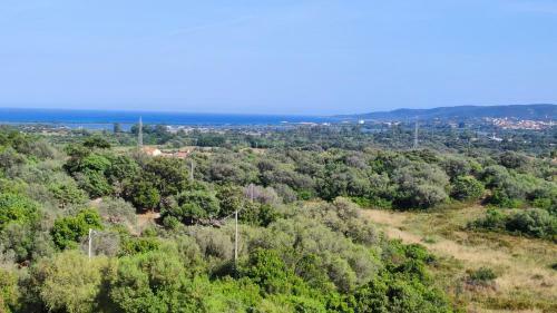 Casa L'ulivariu Bed & Breakfast