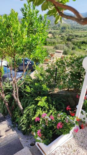 Casa L'ulivariu Bed & Breakfast