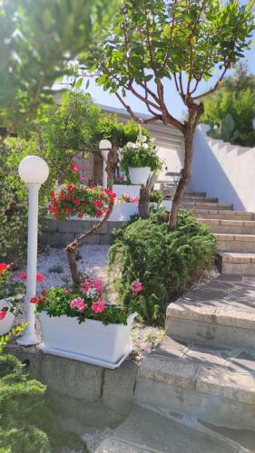 Casa L'ulivariu Bed & Breakfast