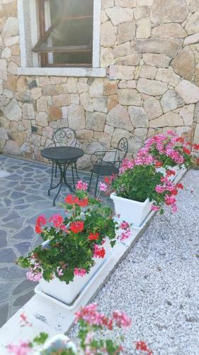 Casa L'ulivariu Bed & Breakfast