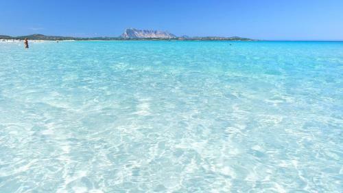 Trilocale Dory A San Teodoro