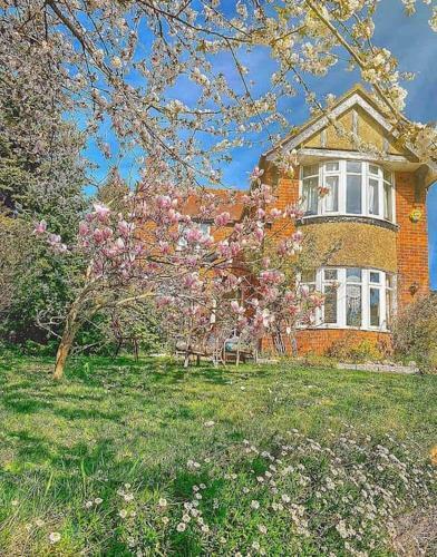 The Apple And Plum Cottage Studio Apartment New