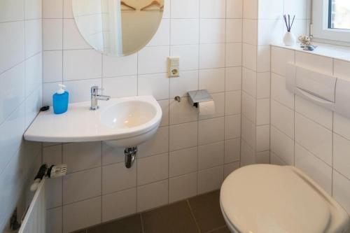 Ferienhaus-log9