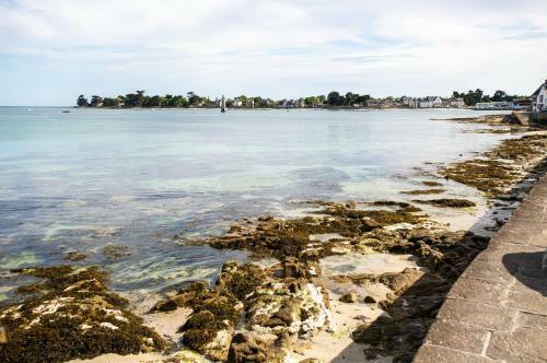 Vacances Happy A L'ile Tudy !