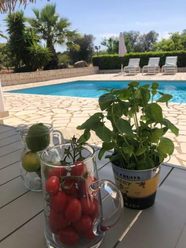 Villa Dolce Vita In Puglia