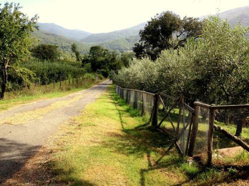 Apartamento Agriturismo Le Cerinaie