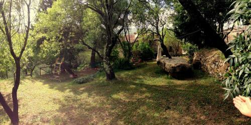Apartamento Agriturismo Le Cerinaie