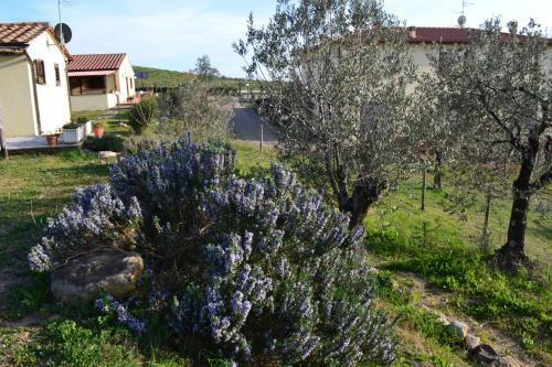 Agroturismo Podere Dei Maddii
