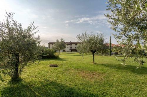 Apartamento Agriturismo Al Tralcio