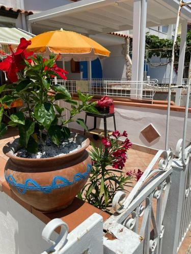 Apartamento Tartaruga