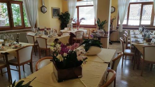 Hotel Rosalpina