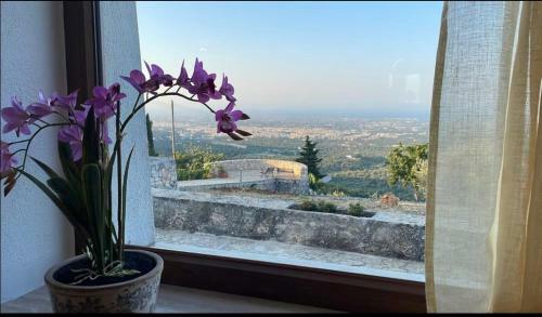 Belvedere Di Puglia Casa Vacanza