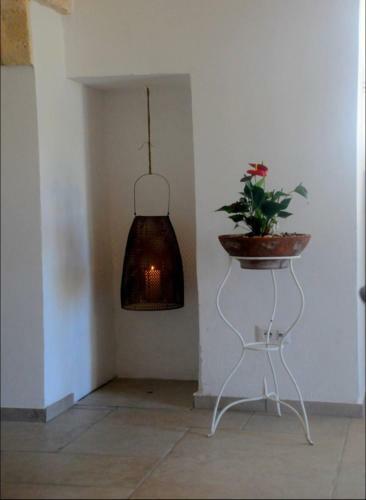 Belvedere Di Puglia Casa Vacanza