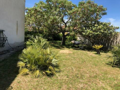Tenuta Le Muzze 6+ 4 Posti Letto