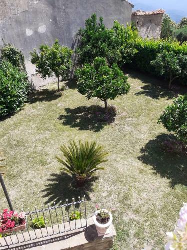 Hostal Il Giardino Degli Aranci