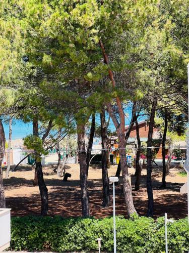 Beach Apartments Spiaggia Nascosta