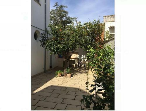 Apartamento Relax In Salento - Casa Tipica