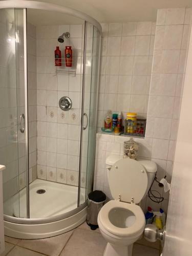 Private House In New York - Flushing