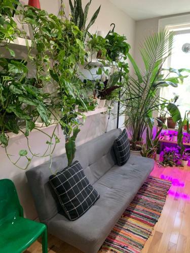 Urban Jungle Oasis In Queens!
