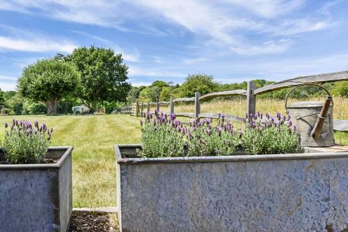 Crabden Shepherd Hut - Blendworth