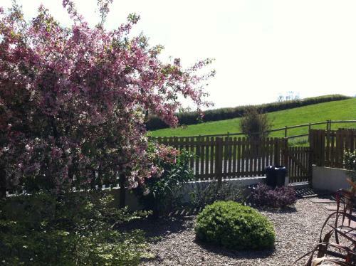 Ashton Cottages