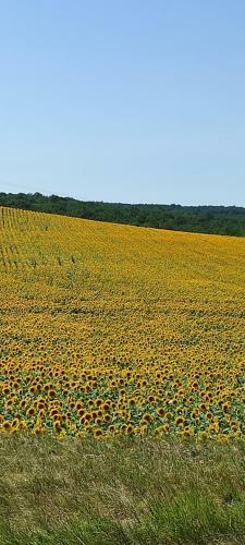 Bed & Breakfast Logis Du Poirier