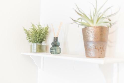 Apartamento 5a Queen Street