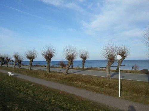 Apartamento Haus Achtern Diek - A2 - A3