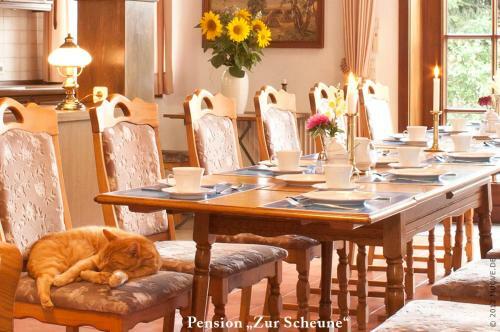 Hostal Pension Zur Scheune