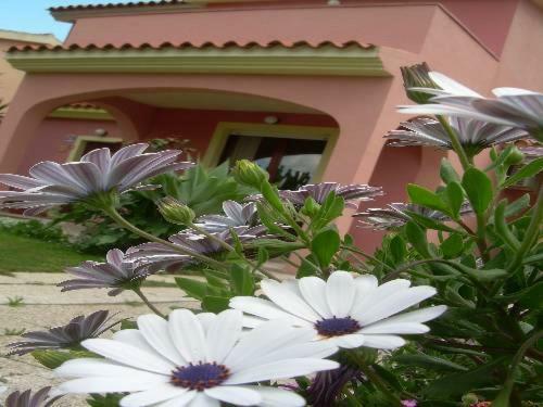 Ariedo Bed And Breakfast