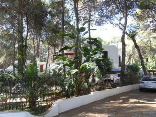 Villa Zazzara