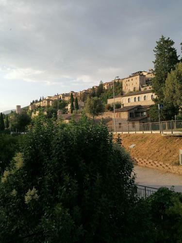La Musa Di Spello