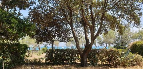 Villa Fronte Mare