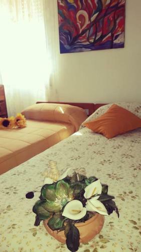 Last Minute Cilento Mena's House
