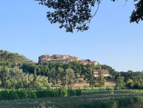 Apartamento Il Nido Nel Borgo